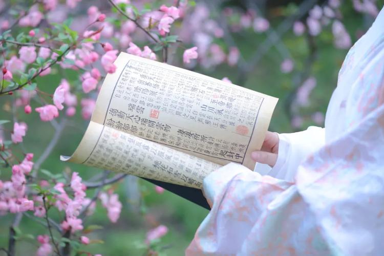 海棠看书-自由的小说搜索网站!口袋搜书缩略图