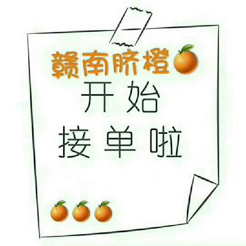 橘子接单打字软件游戏截图
