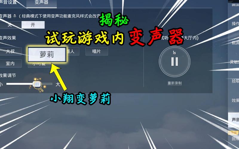 和平精英变声器?缩略图