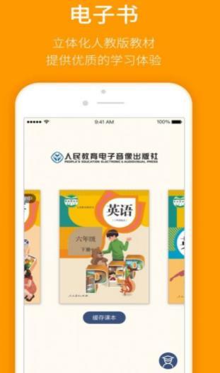 书芽纯净版不升级游戏截图