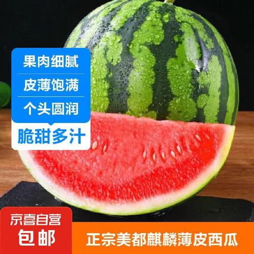 gtv视频小蓝破解版1080p旧版免排队游戏截图