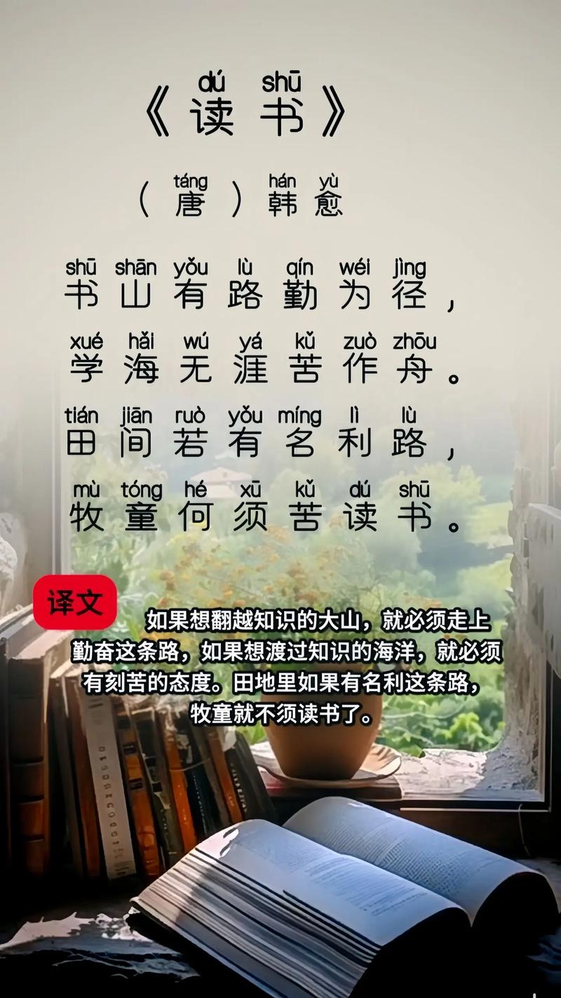 古诗大挑战追剧缩略图