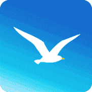 海鸥加速器npv下载 v6.5.0缩略图
