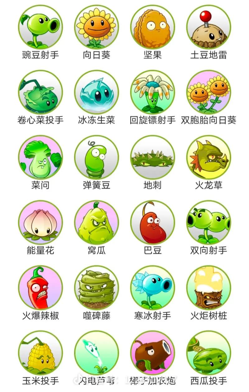 植物大战僵尸二破解版全植物五阶缩略图