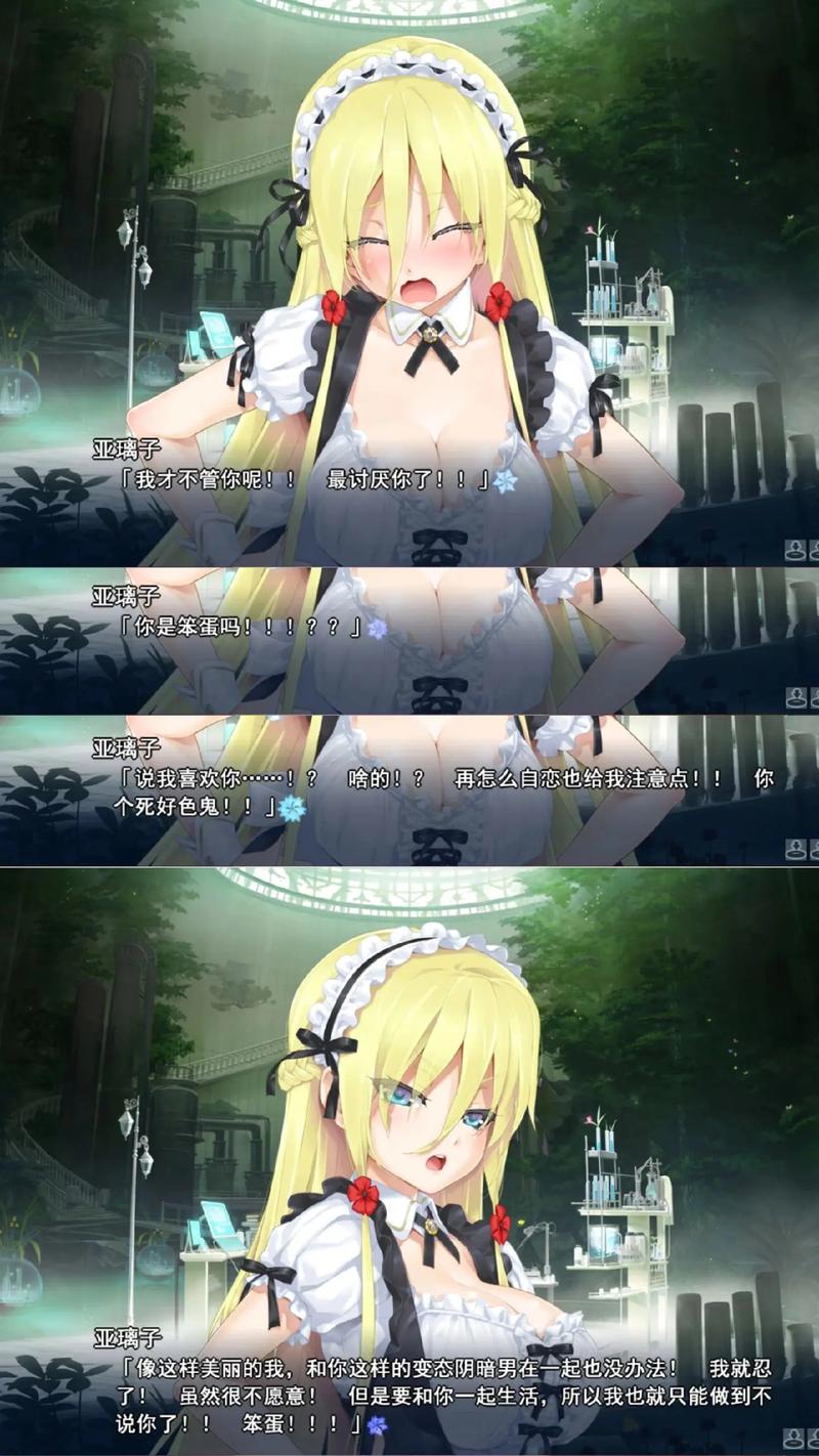美少女万华镜4冷狐直装版缩略图