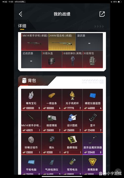 和平精英范围拾取(免root,免卡密)游戏截图