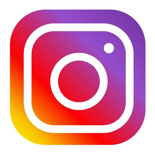 instagram下载安卓版入口图标