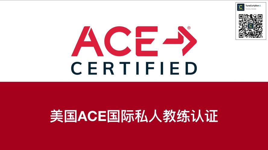 ACE公益直装puqg图标