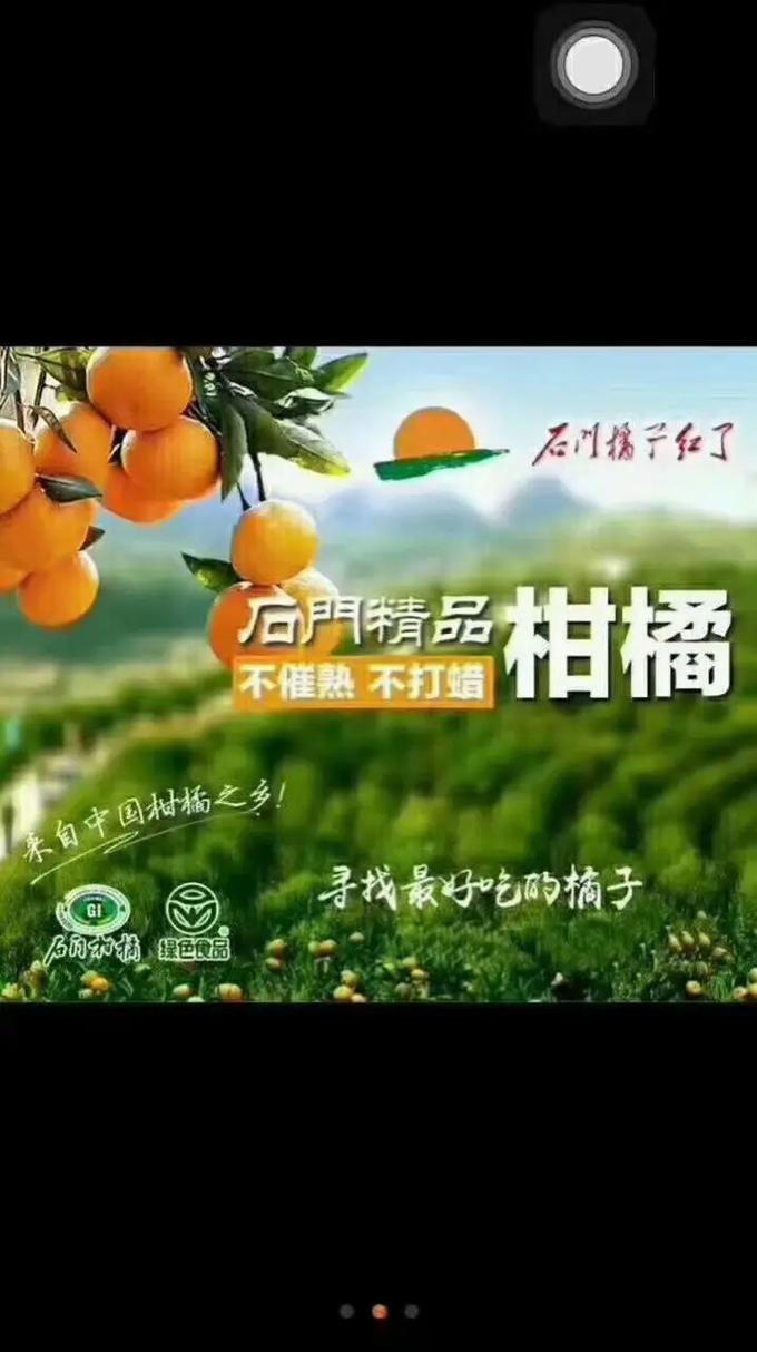 蜜桔85311a.TV-85311a.TV游戏截图