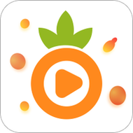 菠萝辅助器1.2.0版本缩略图