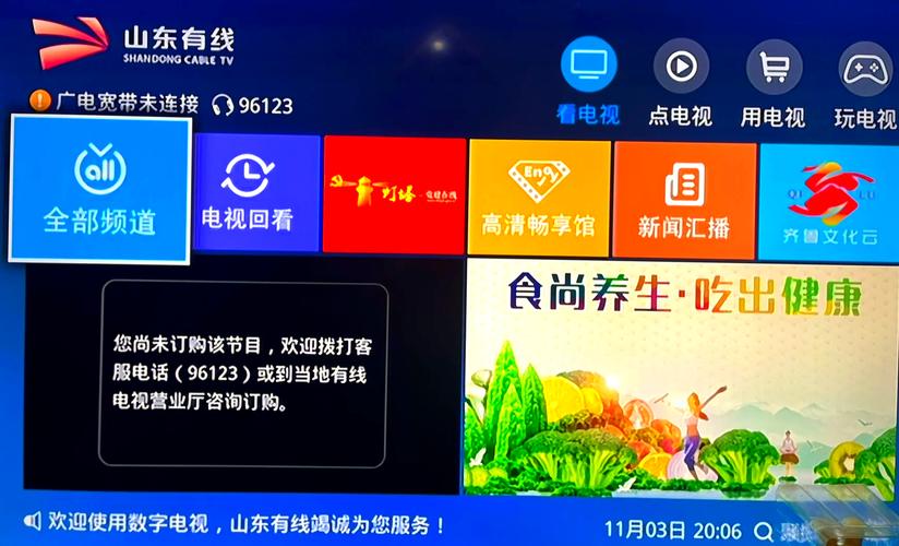 山东有线电视网上缴费怎么交游戏截图