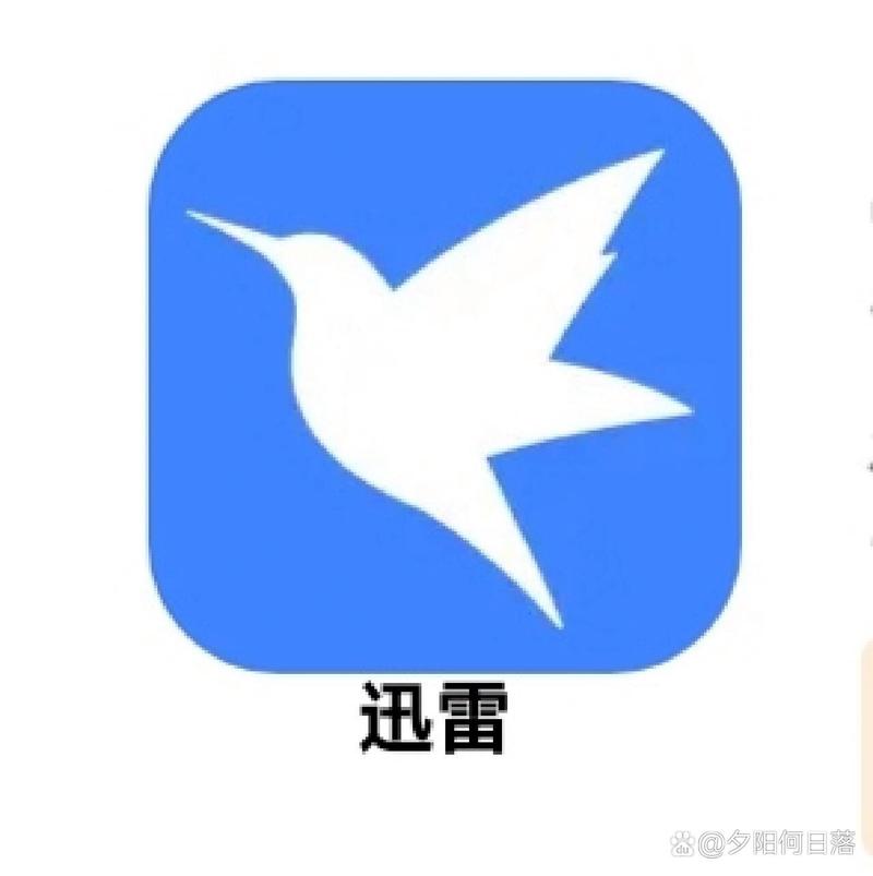 安卓迅雷无限制破解版缩略图