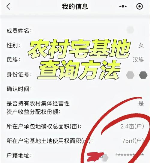 宅基地地图查询用什么软件游戏截图