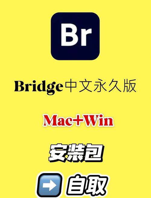 bud国际服最新版2024游戏截图