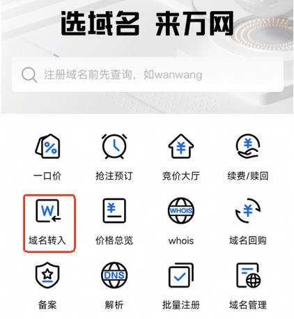 如何查询app的域名
