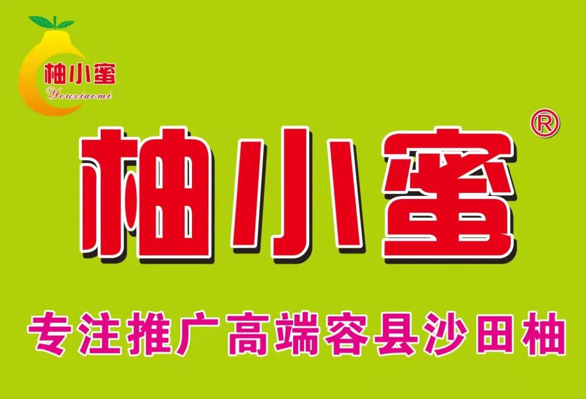 蜜柚小站官方游戏截图
