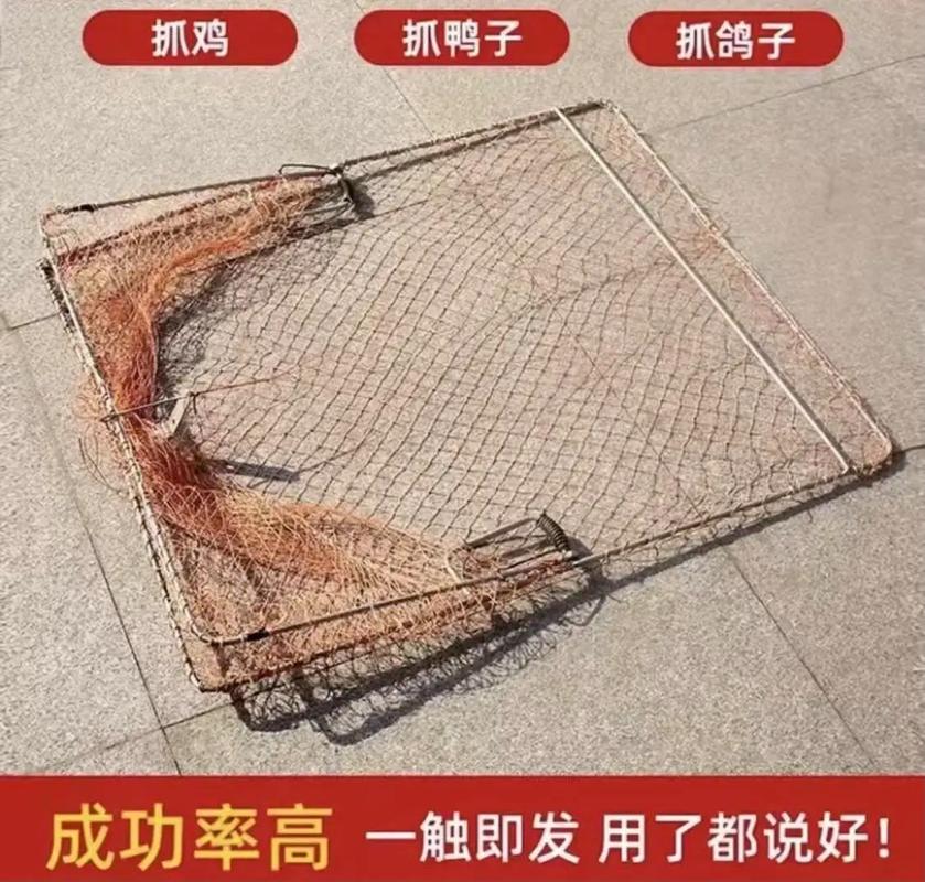 新款户外捉鸡神器