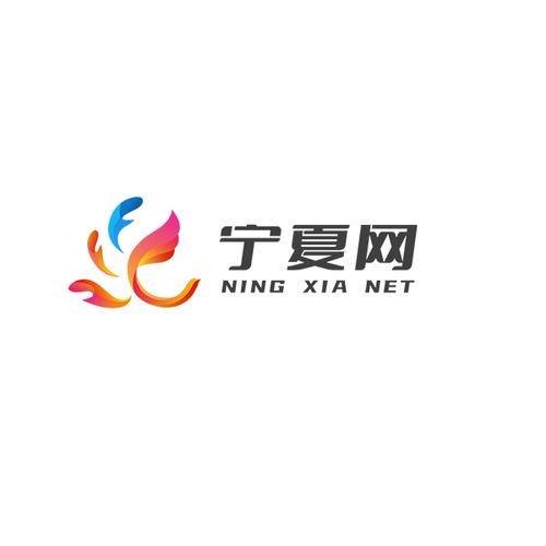 宁夏云平台登录入口网址