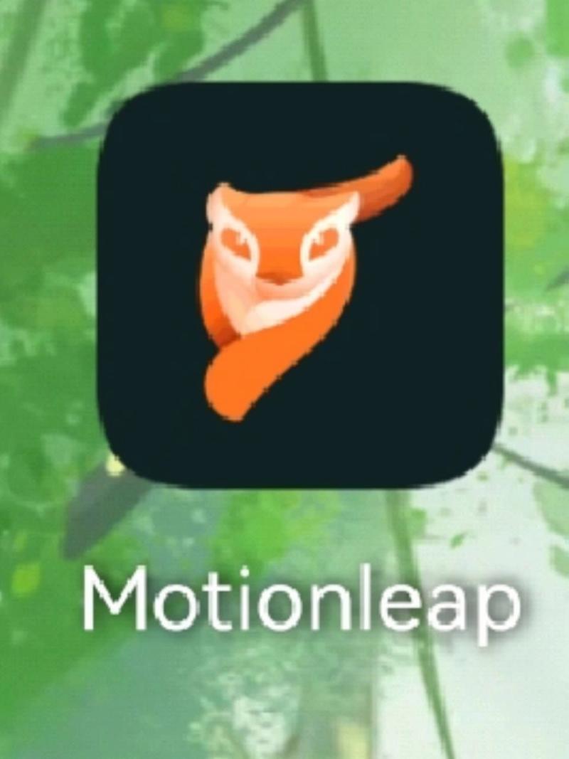 motionleap安卓版破解版游戏截图