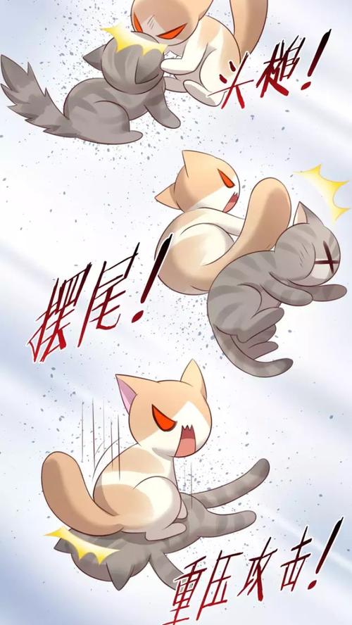 猫爪之下
