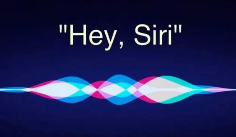 Siri帮我出去走走游戏截图