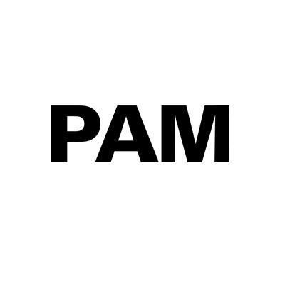 pam中文版