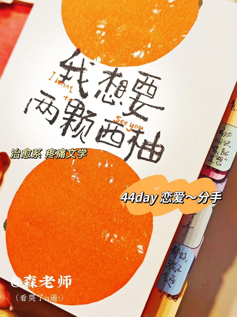 西柚小说免费阅读在线观看缩略图