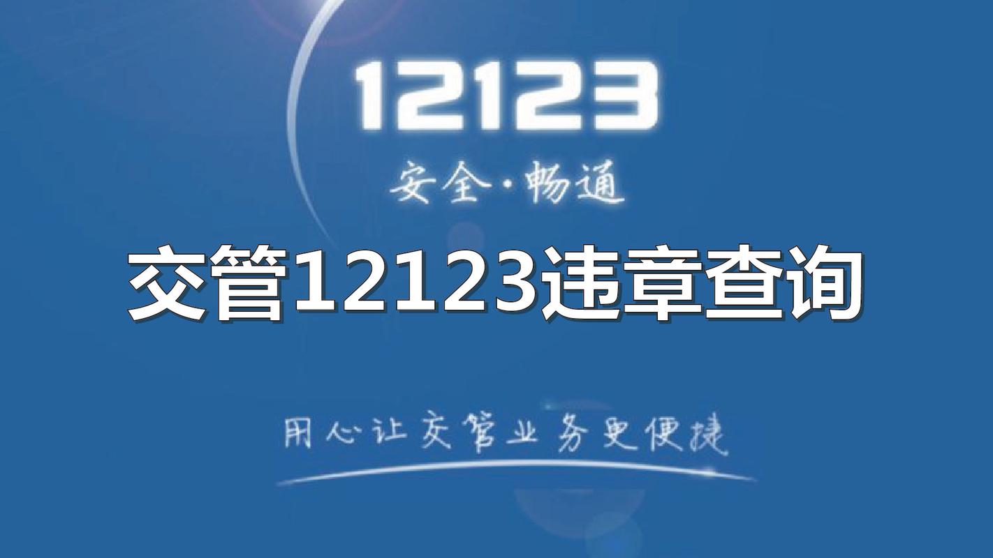 缴款121213违章查询