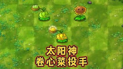 植物大战僵尸变态版无限太阳游戏截图