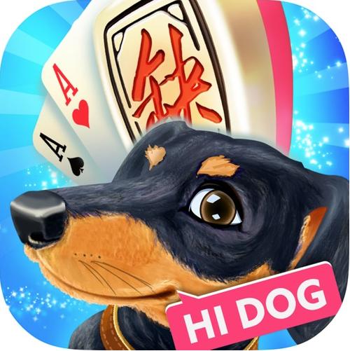 台州哈狗官方最新