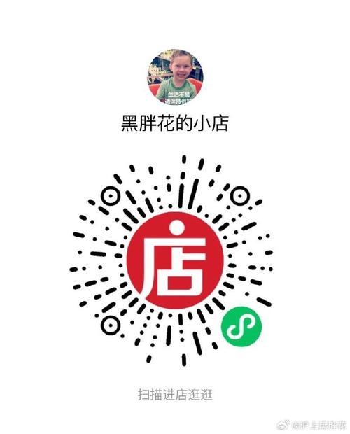 好店主app 店铺二维码永不升级版游戏截图