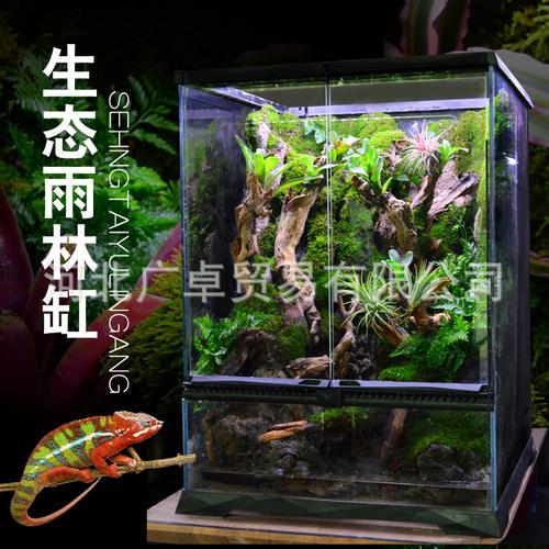 雨林生态缸