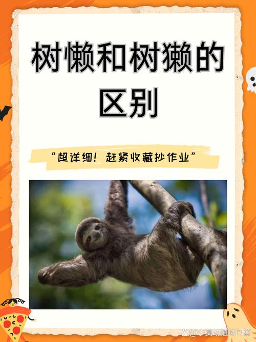 树獭和树懒的区别