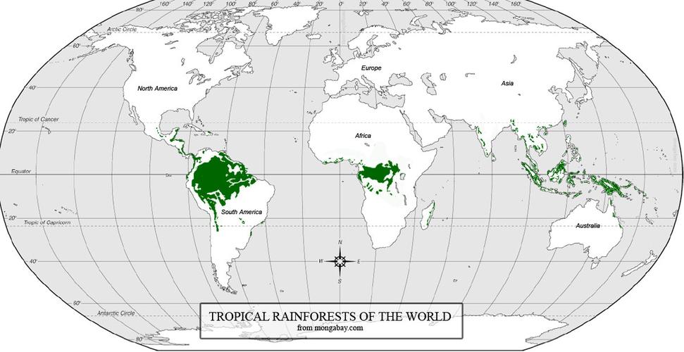 世界雨林分布图游戏截图
