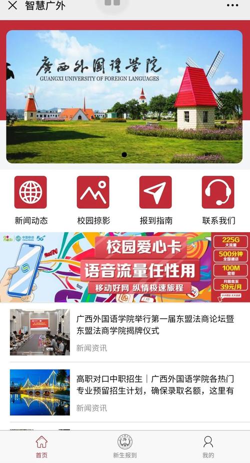 智慧广外门户登录游戏截图