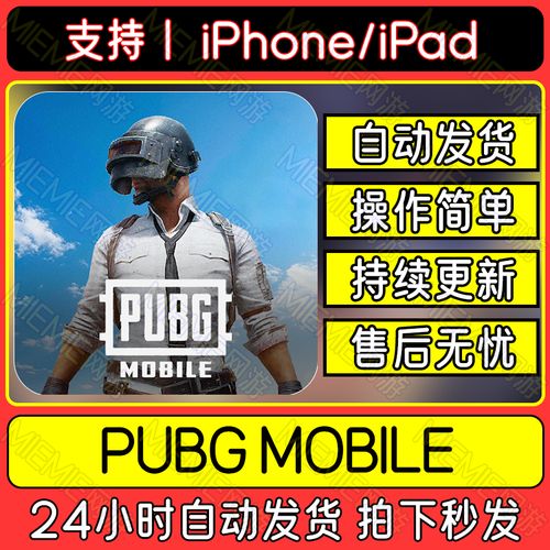 绝地求生刺激战场国际服方法游戏截图