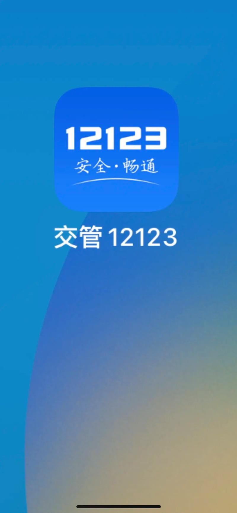 四川交管12123官网登录游戏截图
