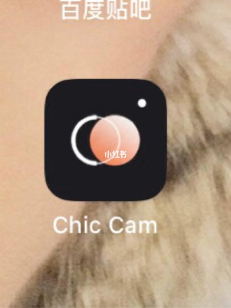 ChicCam最新版