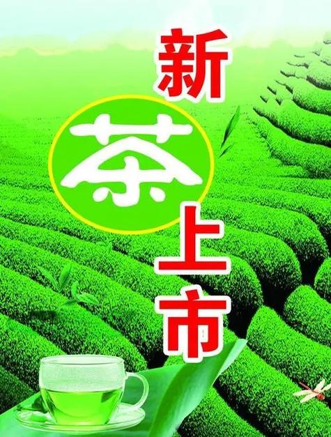 新茶8t v