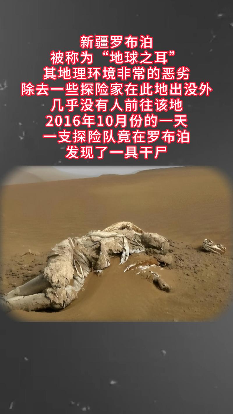 罗布泊惊现一具干尸
新游戏截图