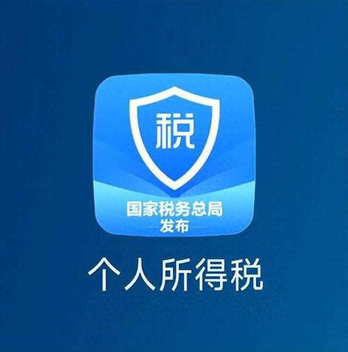个人所得税app安装游戏截图