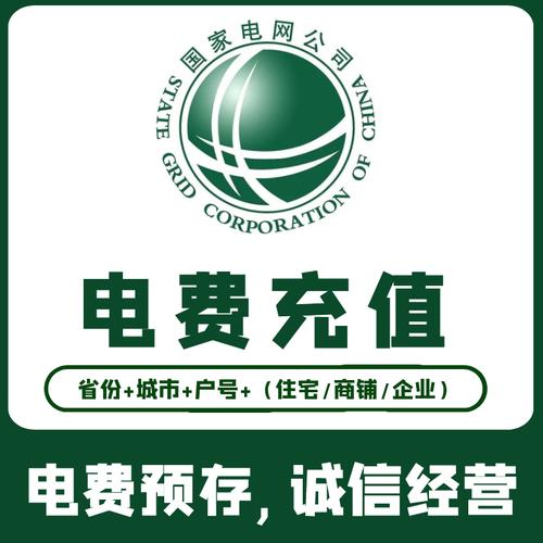 网上国网交电费安装游戏截图