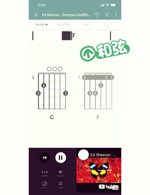 吉他教程v1.1.1安卓版安装游戏截图