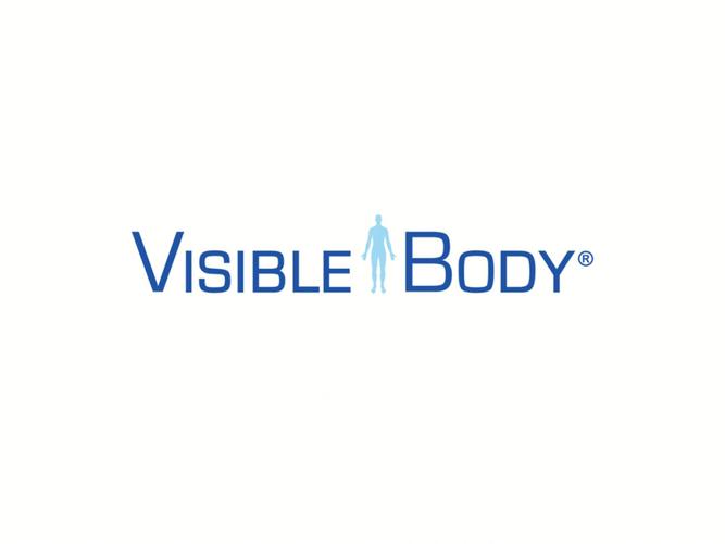 visible body 破解版游戏截图