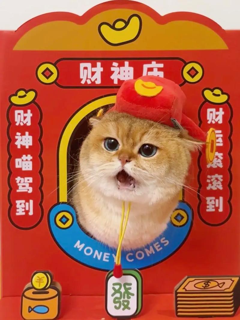 财神养猫游戏截图