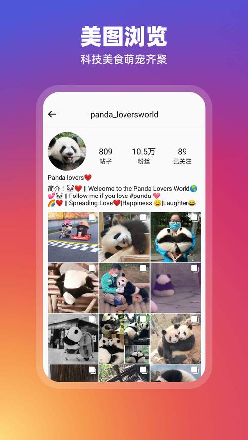 instagram官网版