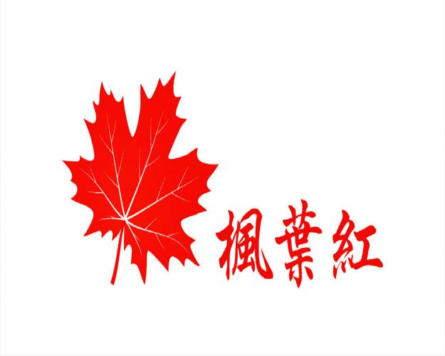 枫叶社工最新中文版