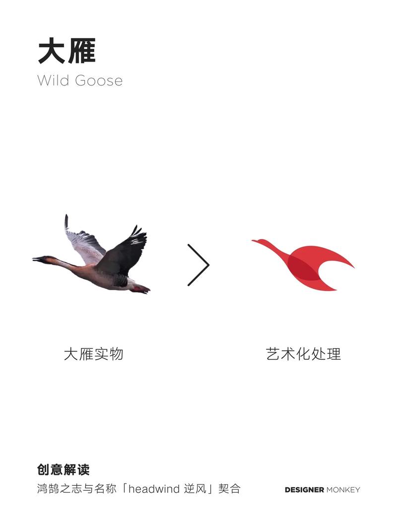 白雁看点游戏截图