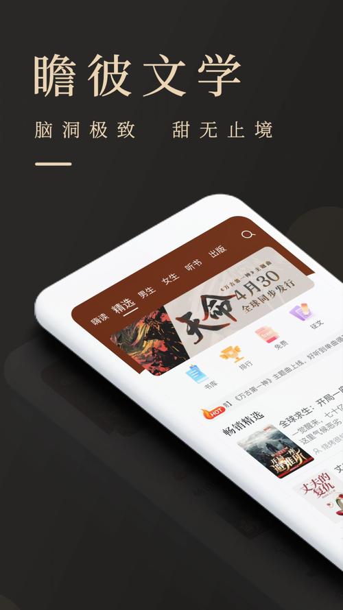 瞻彼文学游戏截图