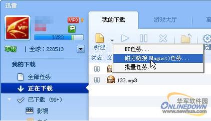迅雷磁力天堂